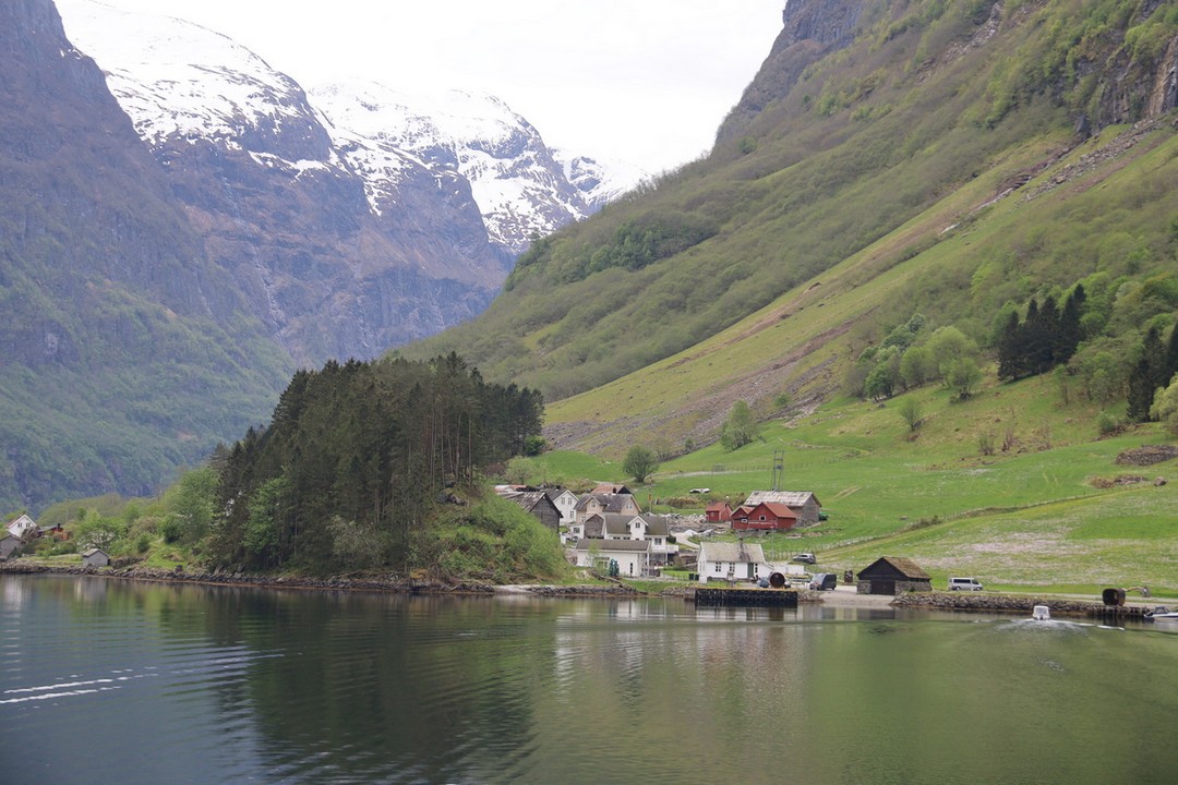 images