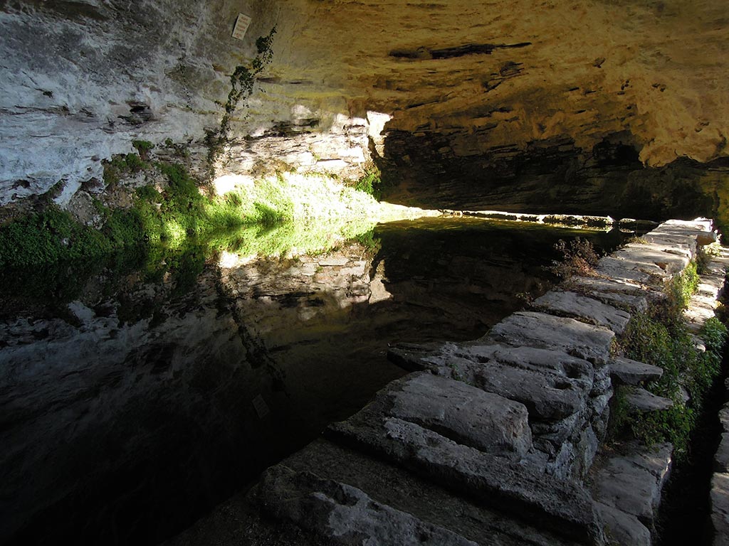 images