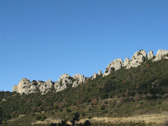 images